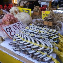 海産物が多種類あります