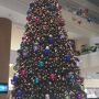 ２０１２年のクリスマスツリー