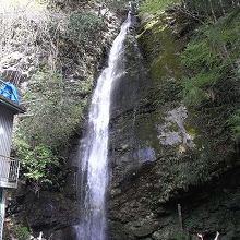 大きさは、横のお姉さんと比較してくださいませ。