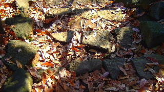 空堀土塁が現存 世田谷城址公園 * 世田谷歴史散歩 *