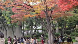 緑豊かな都会のオアシス