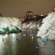 千鳥ヶ淵ライトアップ
