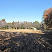 菅生緑地は水沢の森の東地区にあたり、さまざまな人の憩いの場所になっています。