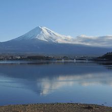 朝一番にみれます