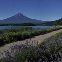 hotelから車ですぐ