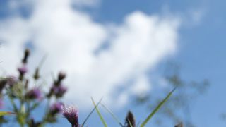 富士五湖で一番綺麗