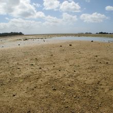公園からビーチを望む