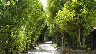 静かでゆったりした時間が流れる