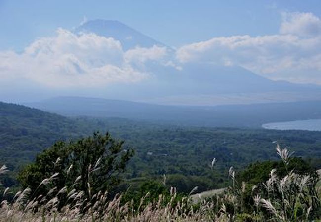 絶景です