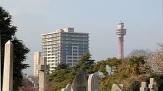 墓地ですが観光地です