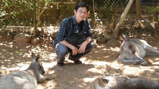 放し飼い？？？？