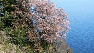 親不知火山岩層がつくる絶景を眼下に見る事が出来る「親不知 記念広場 展望台」