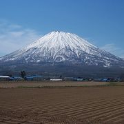 適度なドライブコース