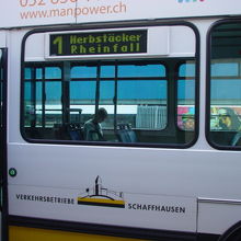 黄色と白の2色のバスです