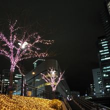 高層ビルの灯りとイルミネーションが美しい