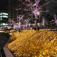 キャンドルをイメージしたイルミネーション