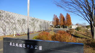 設備も充実した広い公園