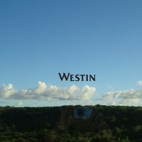 広くて良い部屋です