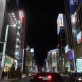 銀座のヒカリミチ、見てきました