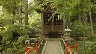 ゆったりとした時間が流れます