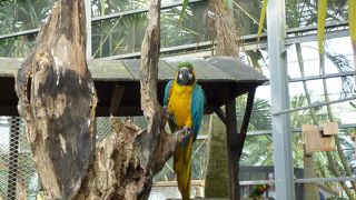 一度くらいは訪れてみてもいいかも