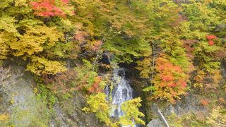 夕張の紅葉といえばここ