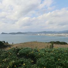 温泉駐車場から枕崎市街