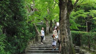 京都鞍馬で、自然と歴史を感じるならここ