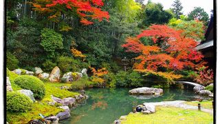 派手さはないが、落ち着いた雰囲気の中でお庭を彩る紅葉を眺められる格式ある門跡寺院