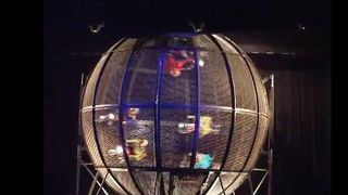 順番に座ります。