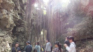 気軽に沖縄の大自然が楽しめます