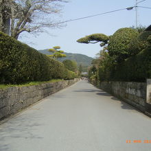 質素ですが素晴らしいです。