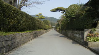 知覧武家屋敷群通りには公開された庭園がいくつもあります。