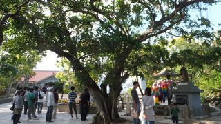 やはり一度は行っておくべき場所かと