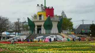 砺波チューリップ公園