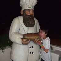 ショア・バードにいる何か