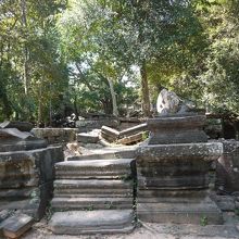 発見当初はもっとジャングルに覆われてたそうです。