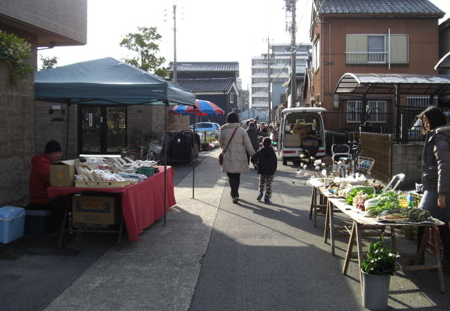 地元の農家が旬のものを