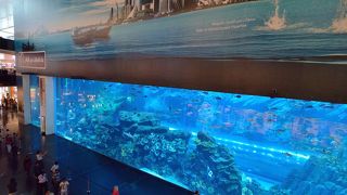 世界最大級の水族館