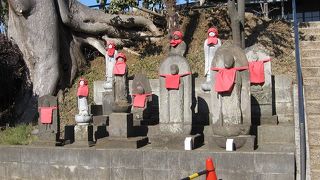 毎年11月30日に太鼓や鉦を打ち鳴らして唱える双盤念仏は、横浜市認定無形文化財になっています。