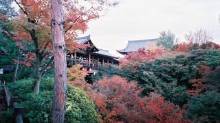 紅葉のメッカ！