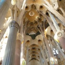 まるで森の中のよう