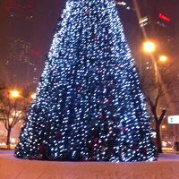 ｼﾞﾝﾙﾝ玄関前のクリスマスツリー、雪に書かれたラブレター