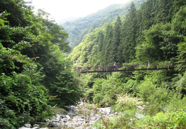 長坂 白州のおすすめ観光スポット クチコミ人気ランキングtop フォートラベル 山梨県