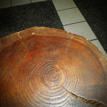 椅子は丸太を切ったものを使用しています