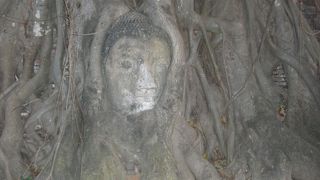 有名なあの仏様が！