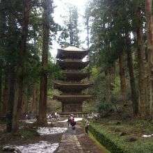 雪が残っています