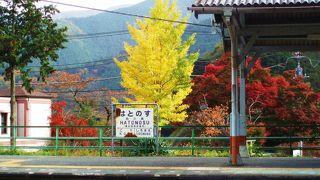 紅葉の鳩ノ巣渓谷