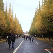 すてきな眺めです。