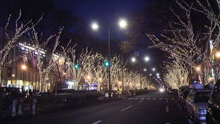 復活しました。